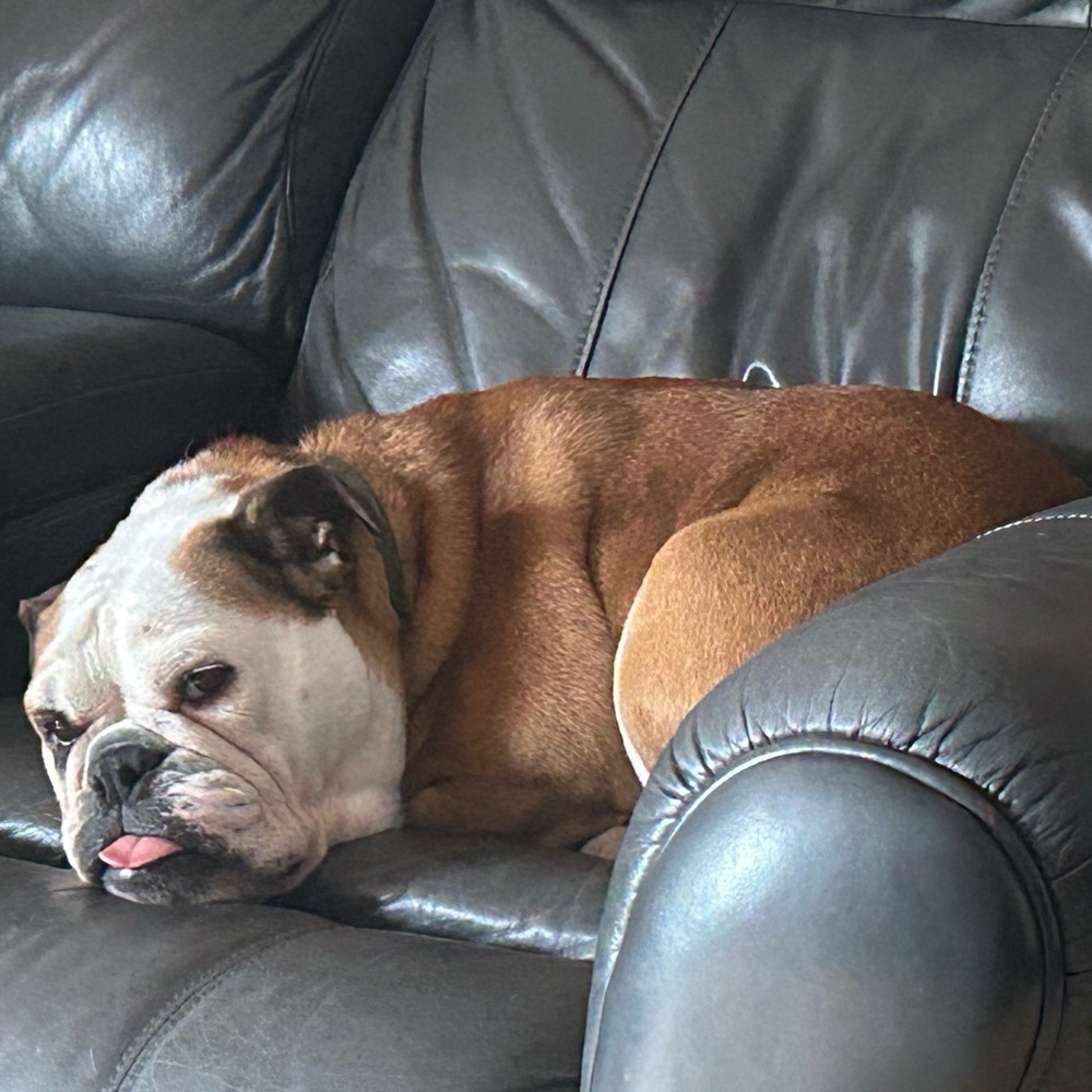 Unlisted Inventory for Live Shows - Picture 4 of 4